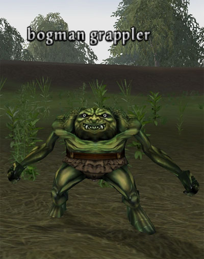 Picture of Bogman Grappler