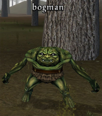 Picture of Bogman