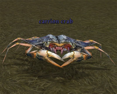 Picture of Carrion Crab