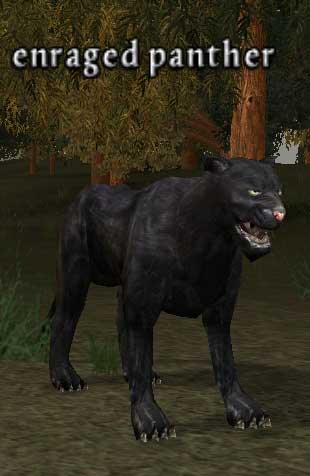 Picture of Enraged Panther