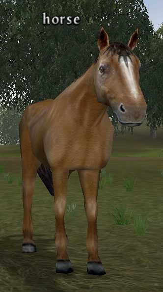 Picture of Horse (Alb)