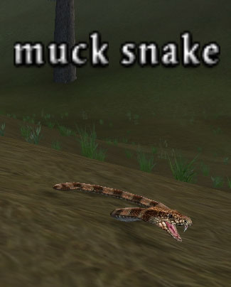 Picture of Muck Snake