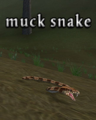 muck snake