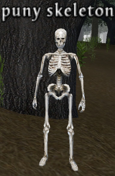 Picture of Puny Skeleton