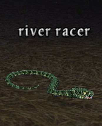 Picture of River Racer