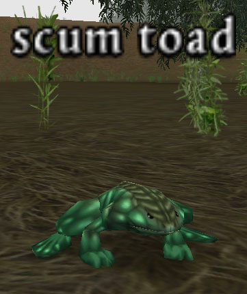 Picture of Scum Toad