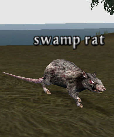 Picture of Swamp Rat