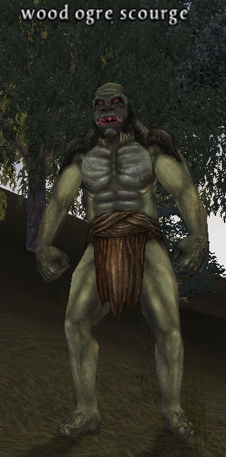 Picture of Wood Ogre Scourge