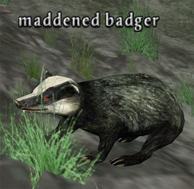 Picture of Maddened Badger