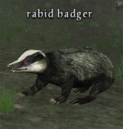 Picture of Rabid Badger