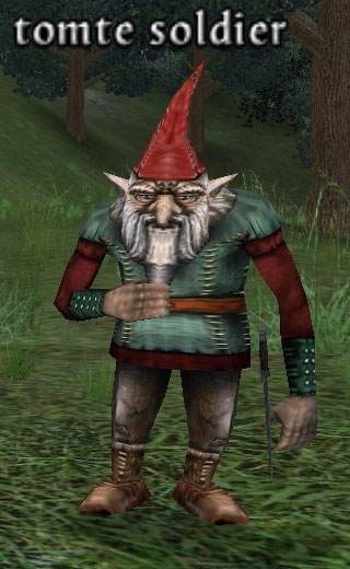 Picture of Tomte Soldier