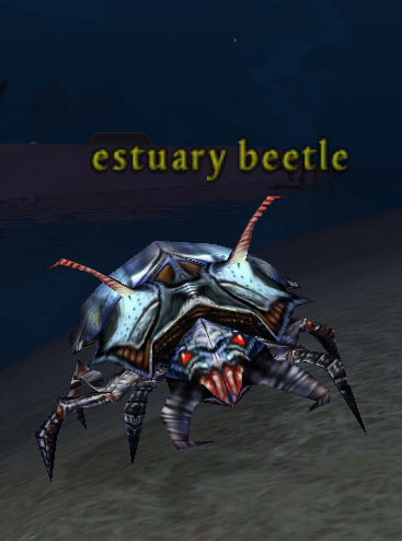 Picture of Estuary Beetle