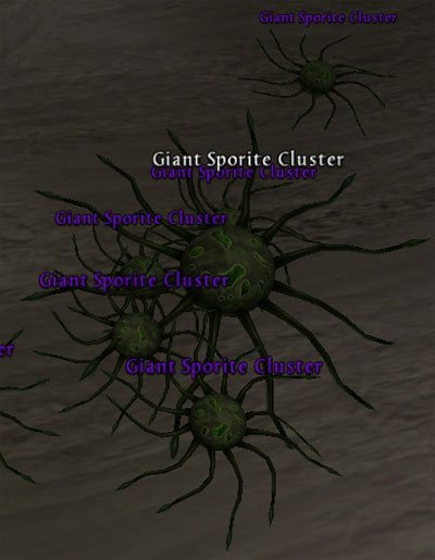 Picture of Giant Sporite Cluster