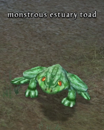 Picture of Monstrous Estuary Toad