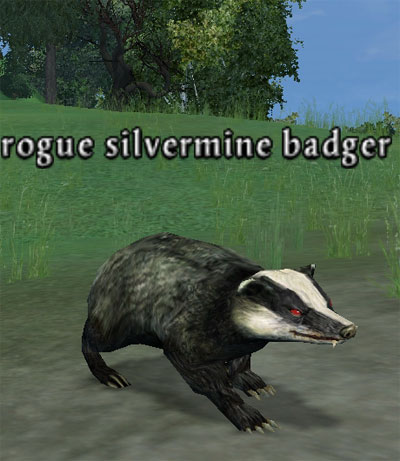 Picture of Rogue Silvermine Badger