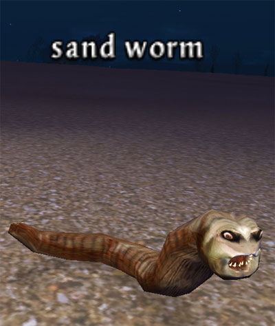 Picture of Sand Worm