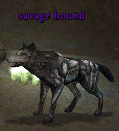 Picture of Savage Hound (Hib)