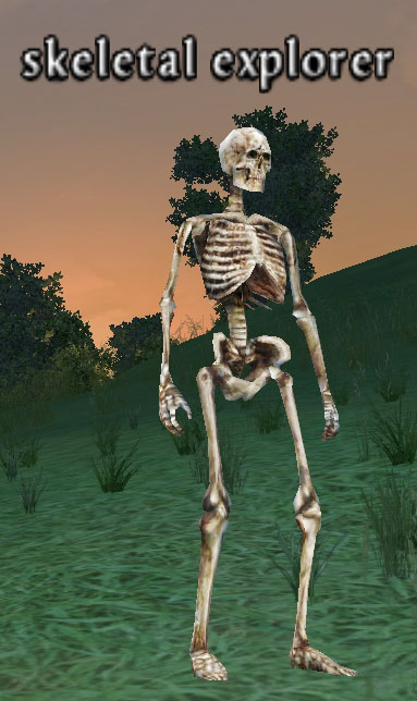 Picture of Skeletal Explorer