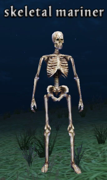 Picture of Skeletal Mariner