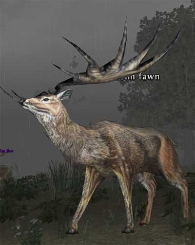 Picture of Faraheim Fawn