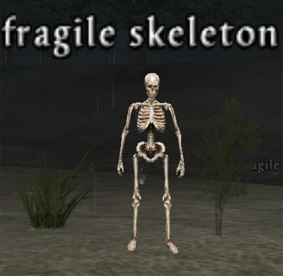 Picture of Fragile Skeleton