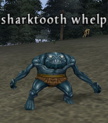 Picture of Sharktooth Whelp