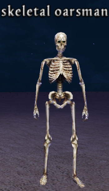 Picture of Skeletal Oarsman