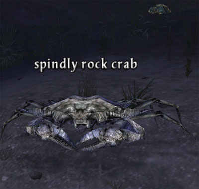 Picture of Spindly Rock Crab