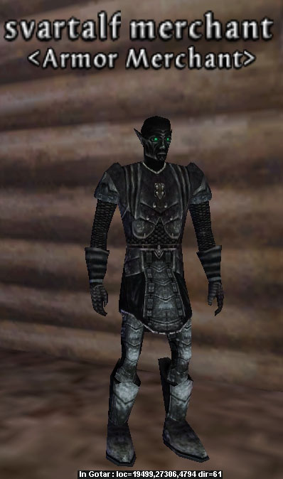 Picture of Svartalf Merchant (armor)