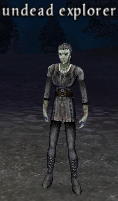 Picture of Undead Explorer