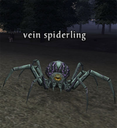 Picture of Vein Spiderling