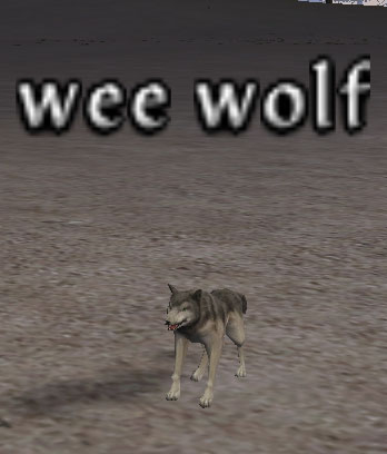 Picture of Wee Wolf