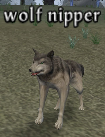 Picture of Wolf Nipper