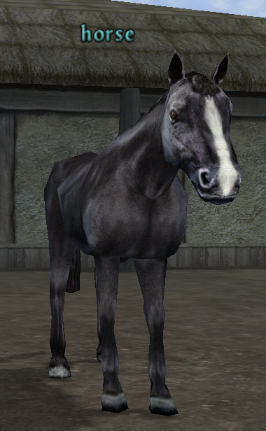 Picture of Horse (Mid)