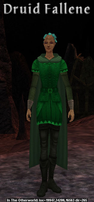 Picture of Druid Fallene