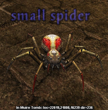 Picture of Small Spider (Hib)