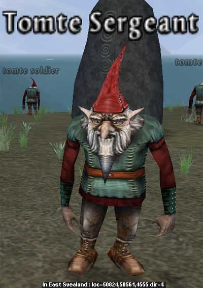 Picture of Tomte Sergeant