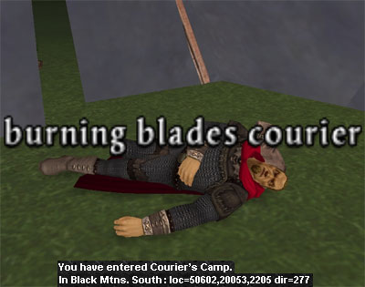 Picture of Burning Blades Courier