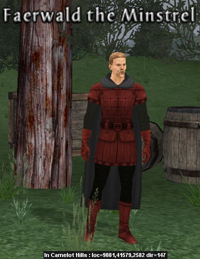 Picture of Faerwald the Minstrel