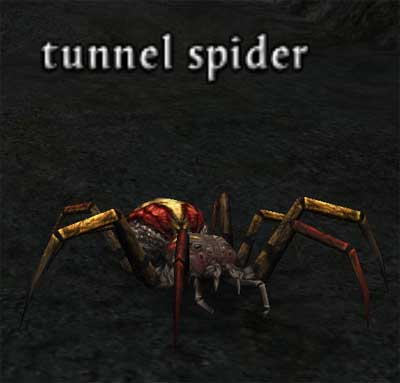 Picture of Tunnel Spider (Hib)