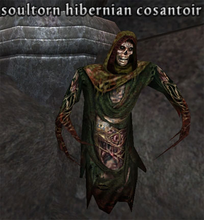 Picture of Soultorn Hibernian Cosantoir