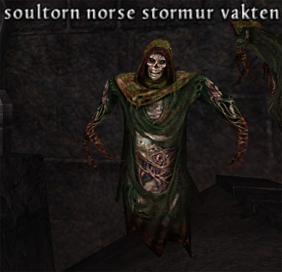 Picture of Soultorn Norse Stormur Vakten