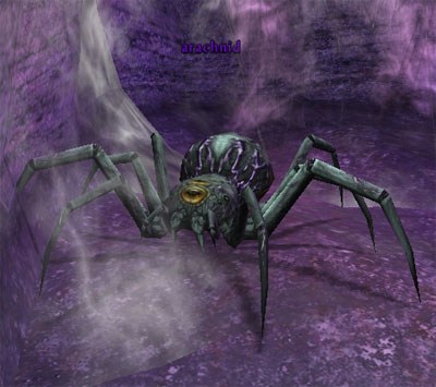 Picture of Arachnid