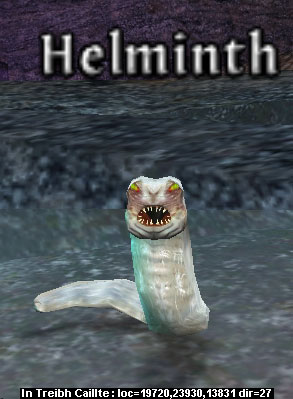 Picture of Helminth