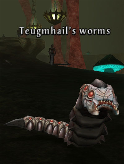 Picture of Teugmhail's Worms