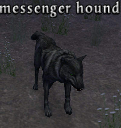 Picture of Messenger Hound