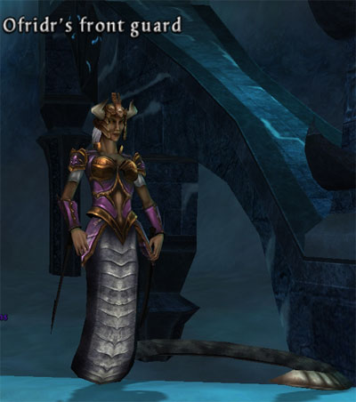 Picture of Ofridr's Front Guard