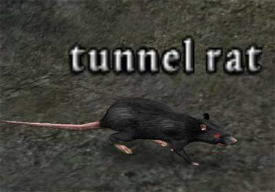 Picture of Tunnel Rat (Alb)