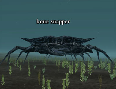 Picture of Bone Snapper