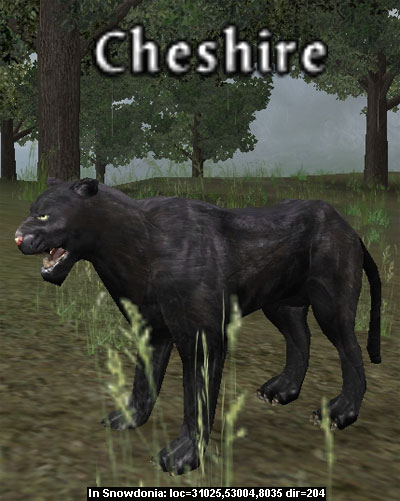 Picture of Cheshire